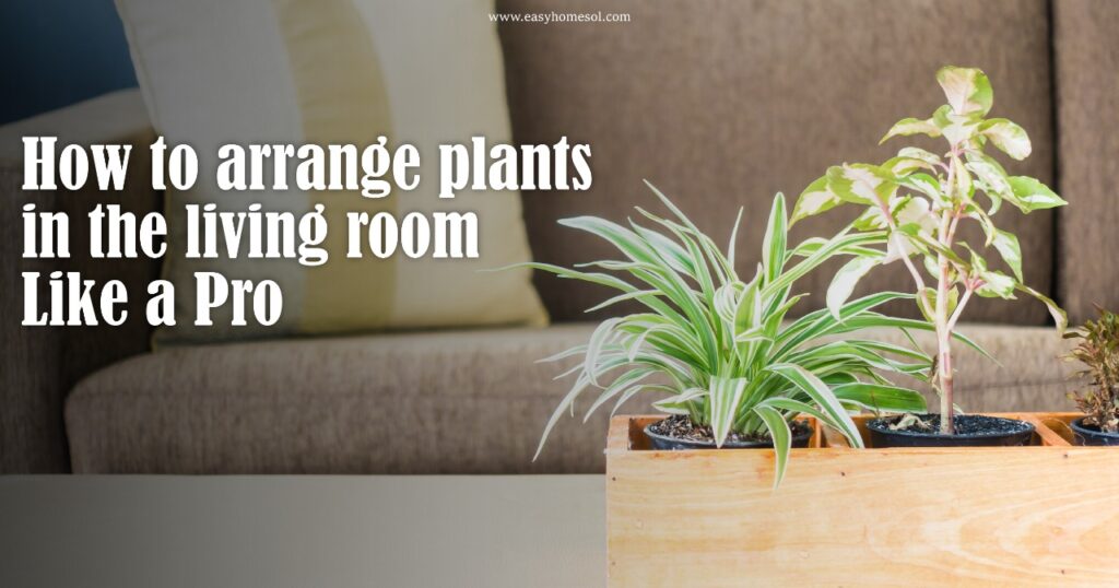 How to arrange plants in living room Like a Pro