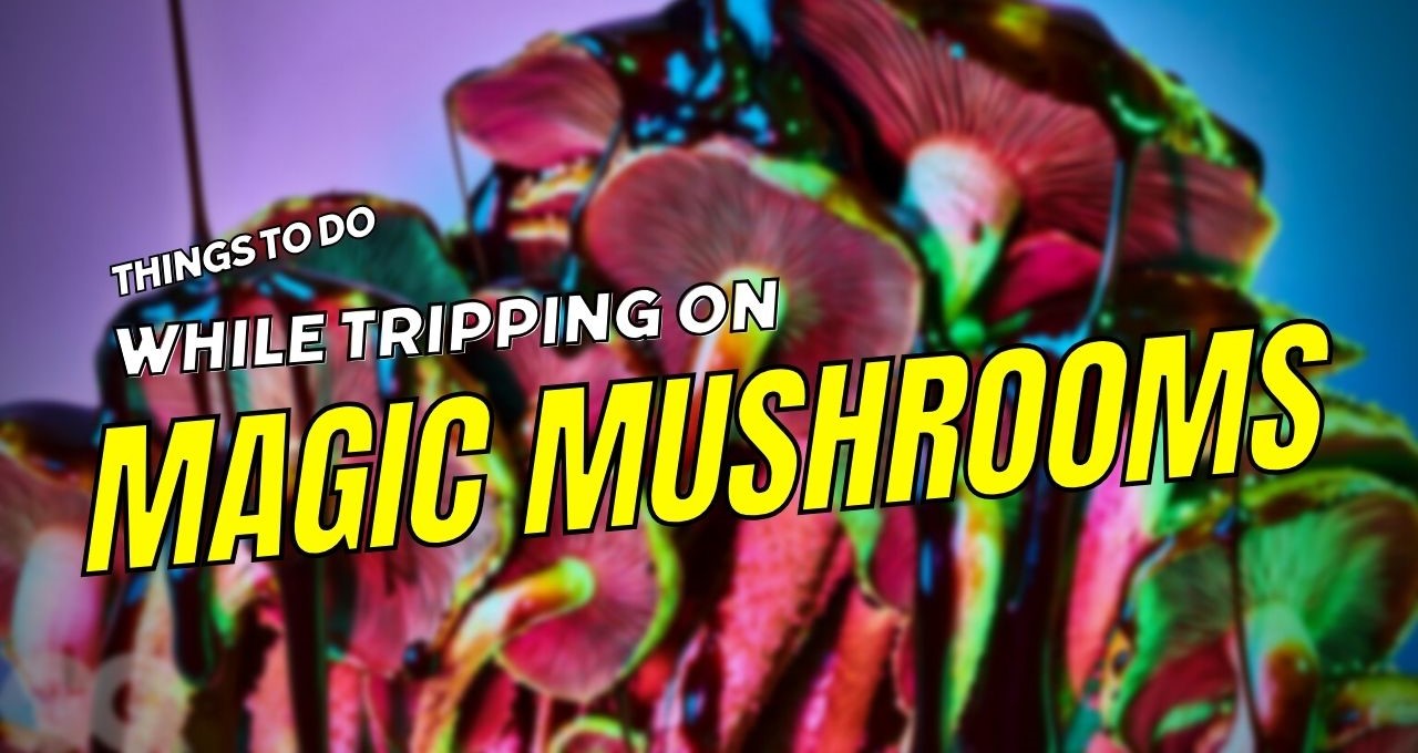 Things to do while Tripping on Magic Mushrooms